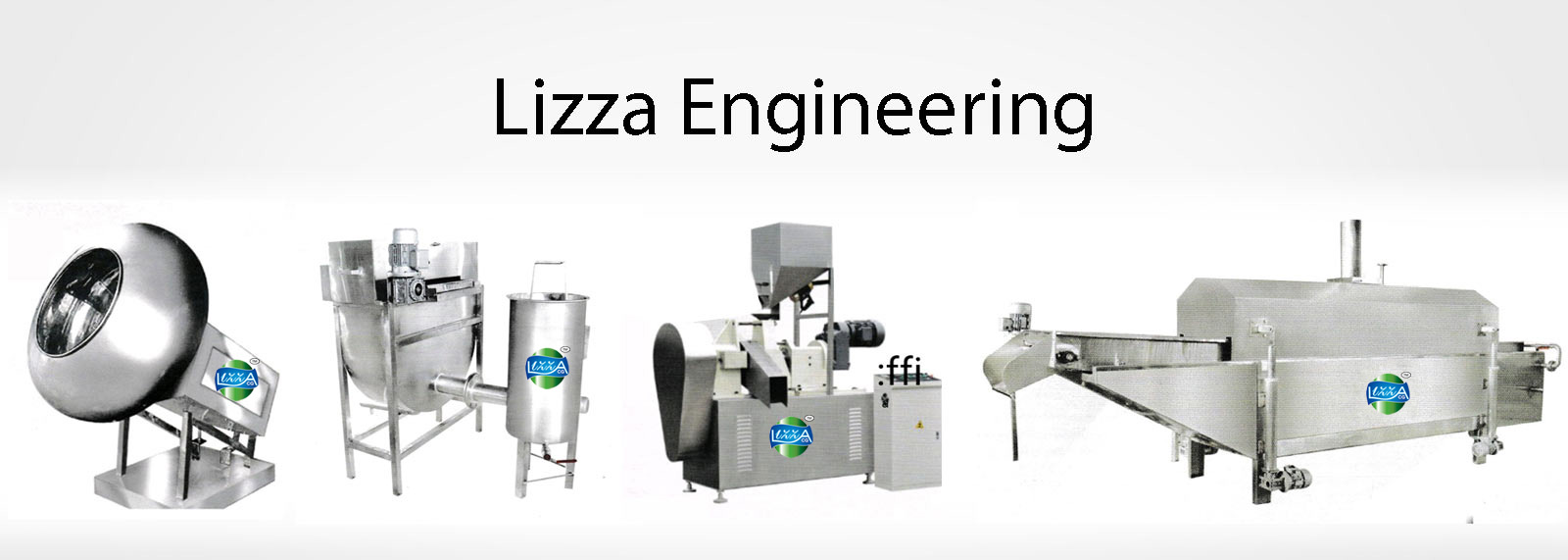 Lizaa Chips