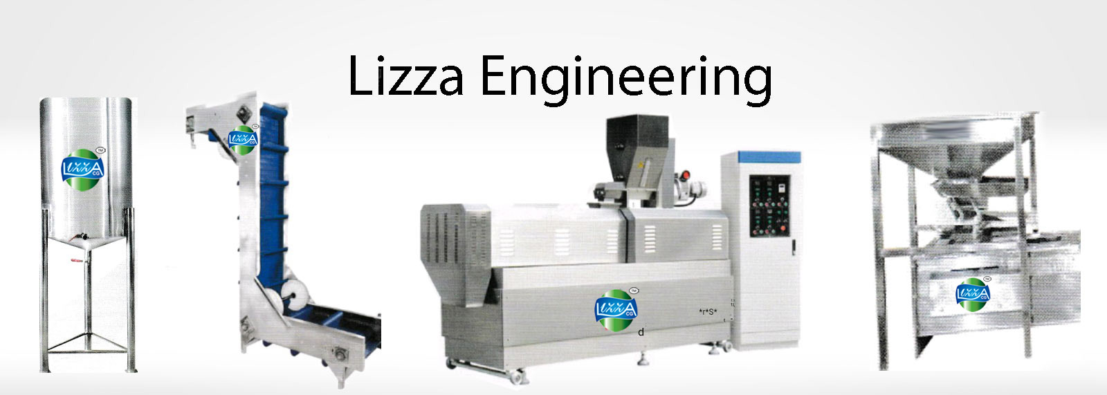 Lizaa Chips